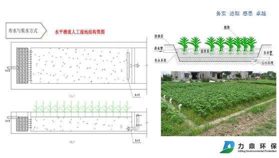 人工濕地示意圖